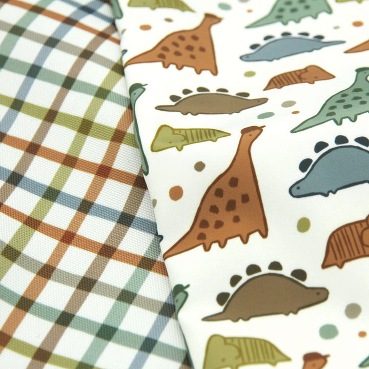 Jurassic Joy - Dynamic Duo