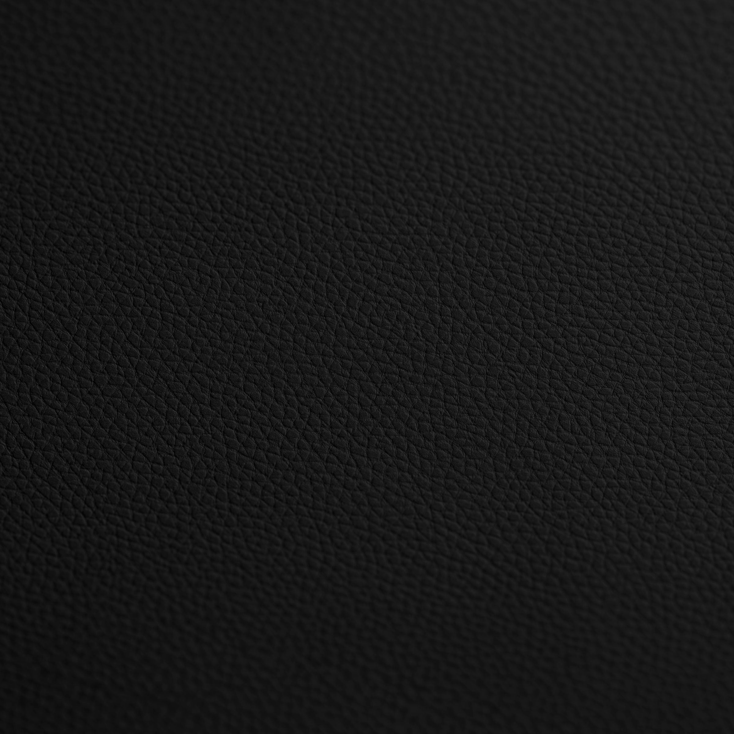 Faux Leather – Zipper Valley