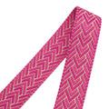 Popsicle Party - Alpine Jacquard Webbing