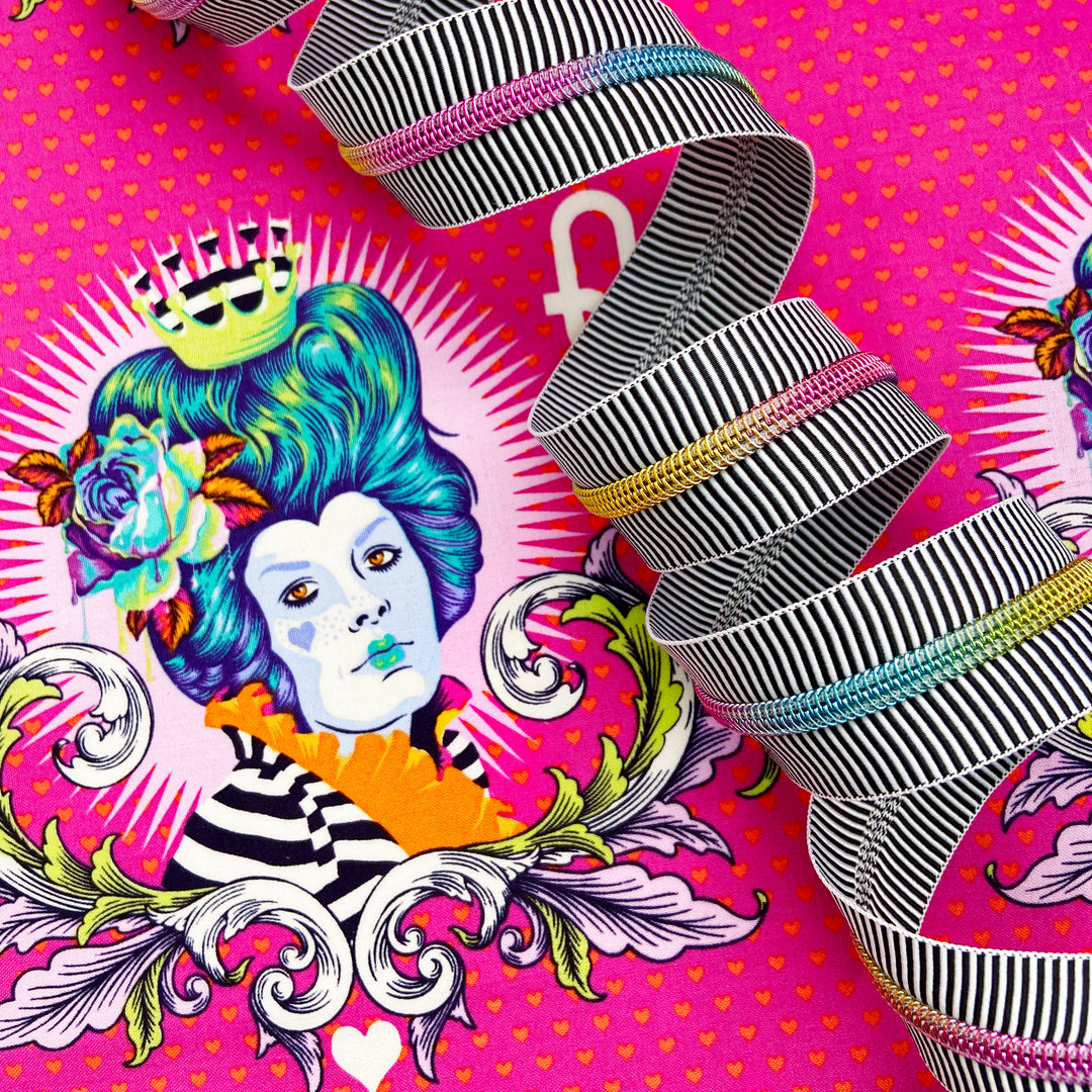 Zebra Stripes - #5 Rainbow Nylon Coil Zipper Tape