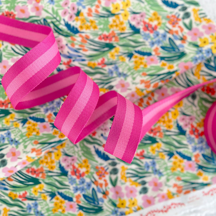 Pink Lemonade and Valentine - Striped Webbing